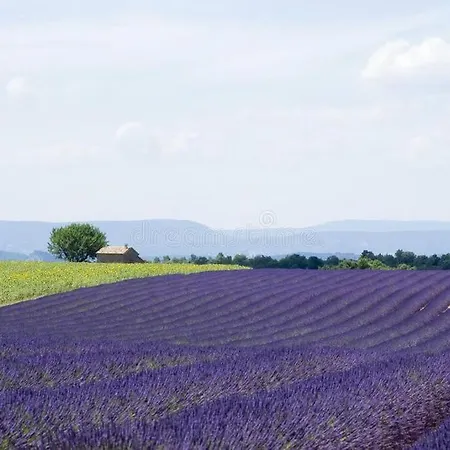 Joli Dans Village Calme En Provence *